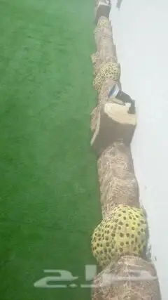تنسيق حدائق ابو شرموخ (image 13)