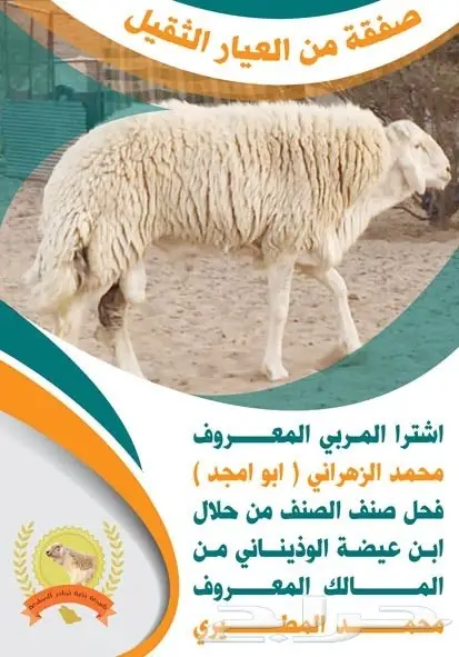 تصميم إعلانات احترافي عن بعد - إبداع بلا حدود! (image 106)