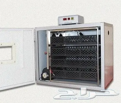 مشروع دواجن وطيور- استراحه - فيومي - للتقبيل  (image 32)