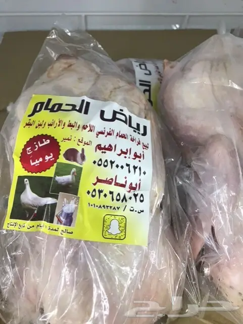 ساقي النخبة حمام بط ارانب سمن غنم خضار مقطعة (image 1)