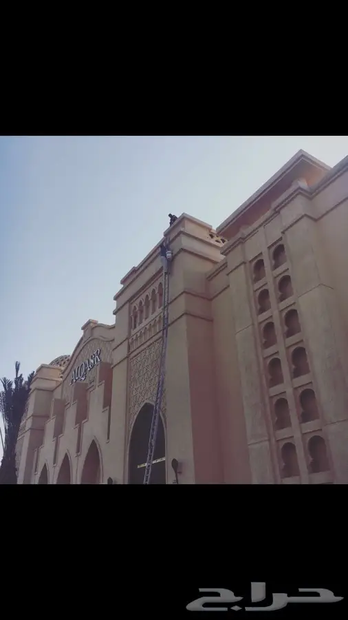 أشواك طارده للطيور (image 15)