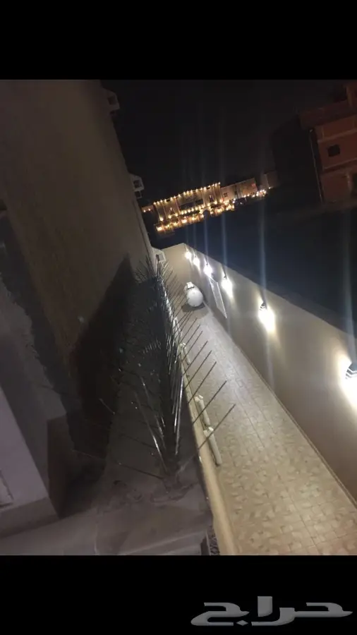أشواك طارده للطيور (image 1)