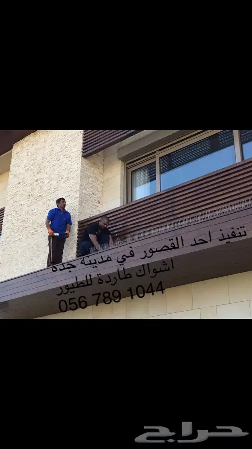 أشواك طارده للطيور (image 17)