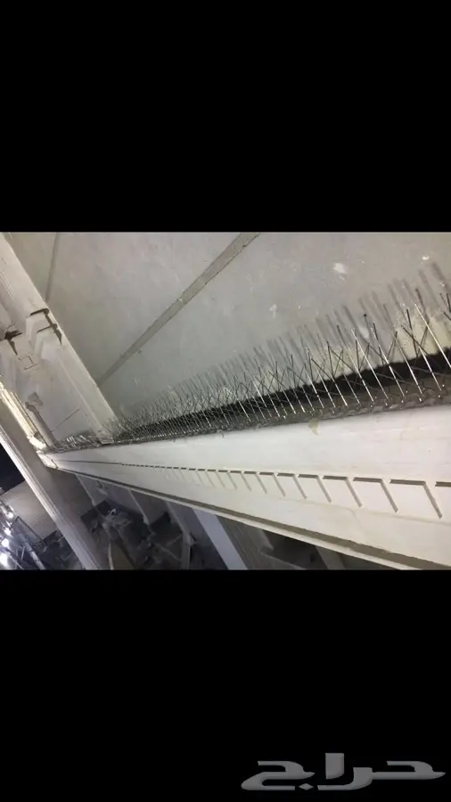 أشواك طارده للطيور (image 4)