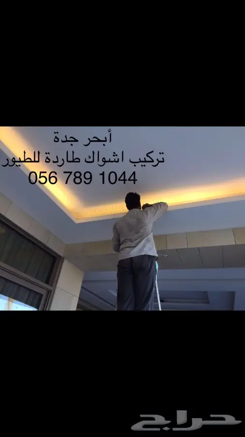 أشواك طارده للطيور (image 18)