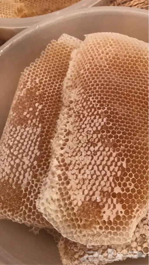 عسل سدر اصلي ومضمون (image 6)