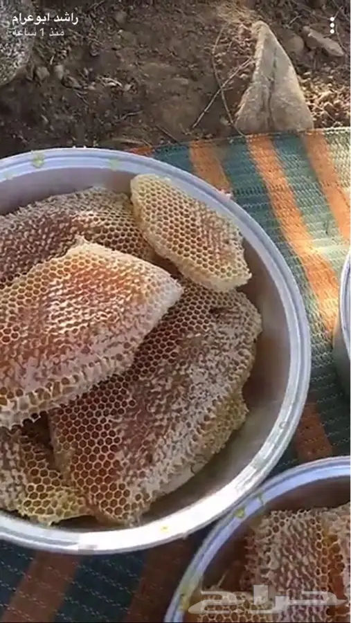 عسل سدر اصلي ومضمون (image 12)