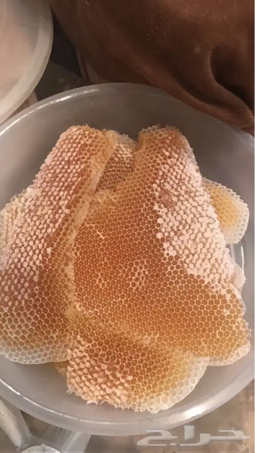 عسل سدر اصلي ومضمون (image 8)