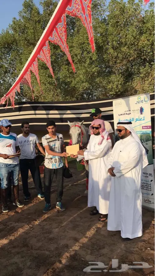 تعليم الفروسية: مهارات قتالية تاريخية للجميع! (image 8)