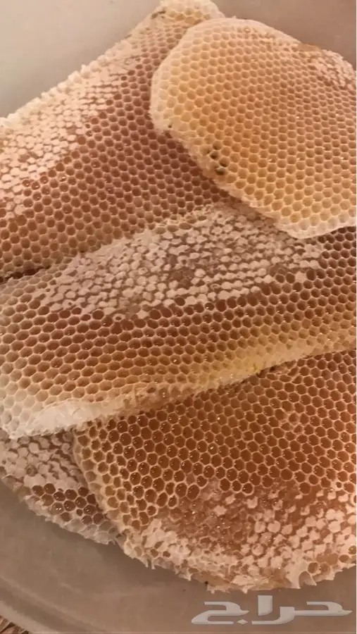 عسل سدر اصلي ومضمون (image 5)