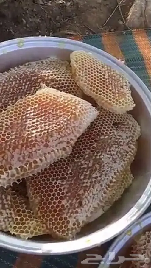 عسل سدر اصلي ومضمون (image 13)