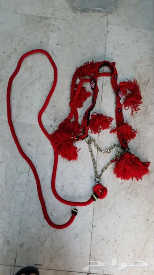 مستلزمات الخيل (image 12)