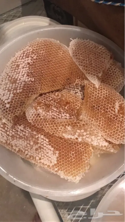 عسل سدر اصلي ومضمون (image 10)