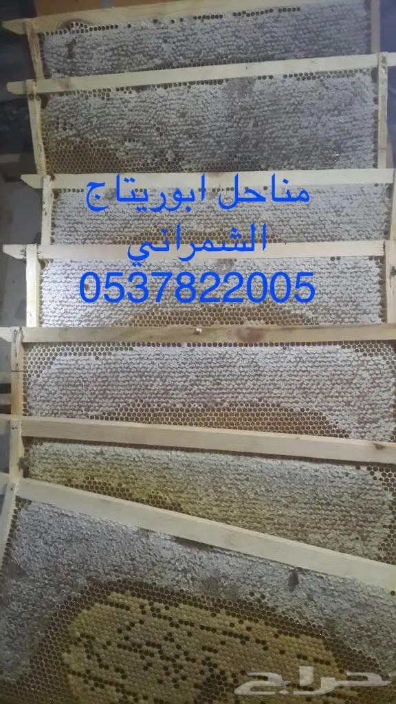 جمعتكم مباركة ادخل وجرب وقييم  (image 6)