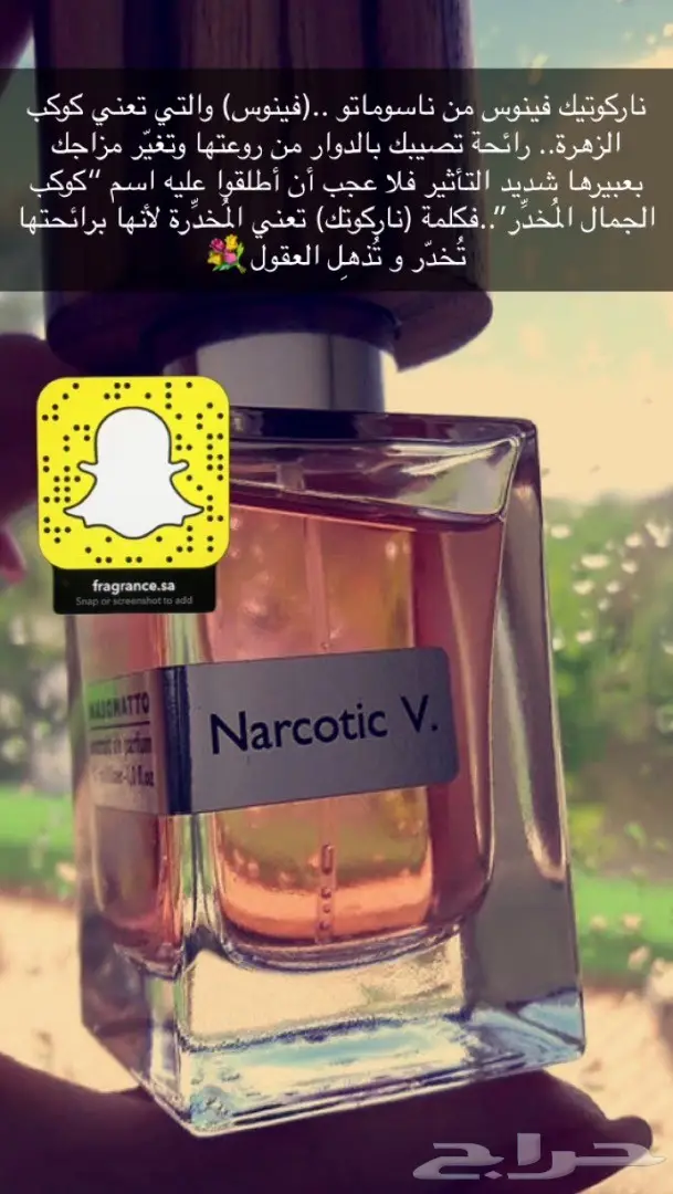 تبي عطر اصلي وزين وكل من شمه قلك من وين تفضل (image 13)