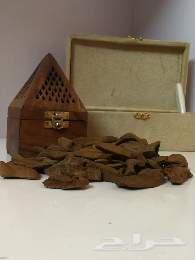 عود مروكي آصقون مميز بسعره (image 1)
