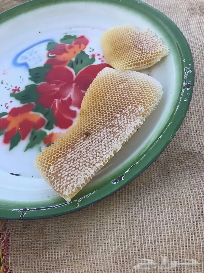 عسل سدر اصلي ومضمون (image 9)