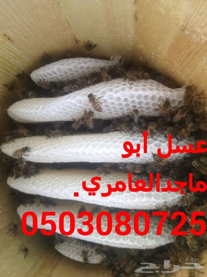 عسل سدر اصلي ومضمون  (image 22)