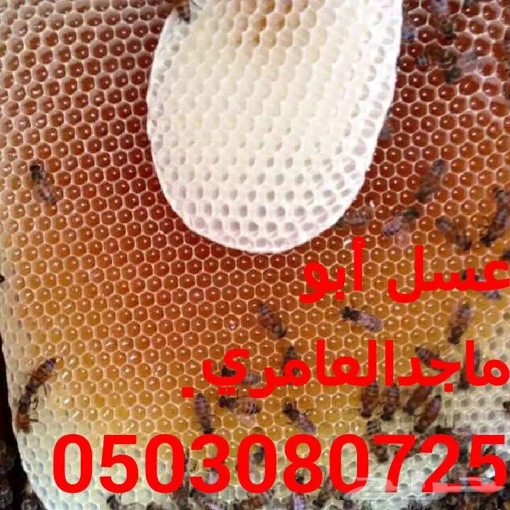 عسل سدر اصلي ومضمون (image 24)