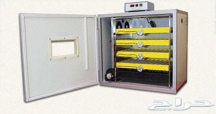 مشروع دواجن وطيور- استراحه - فيومي - للتقبيل  (image 31)