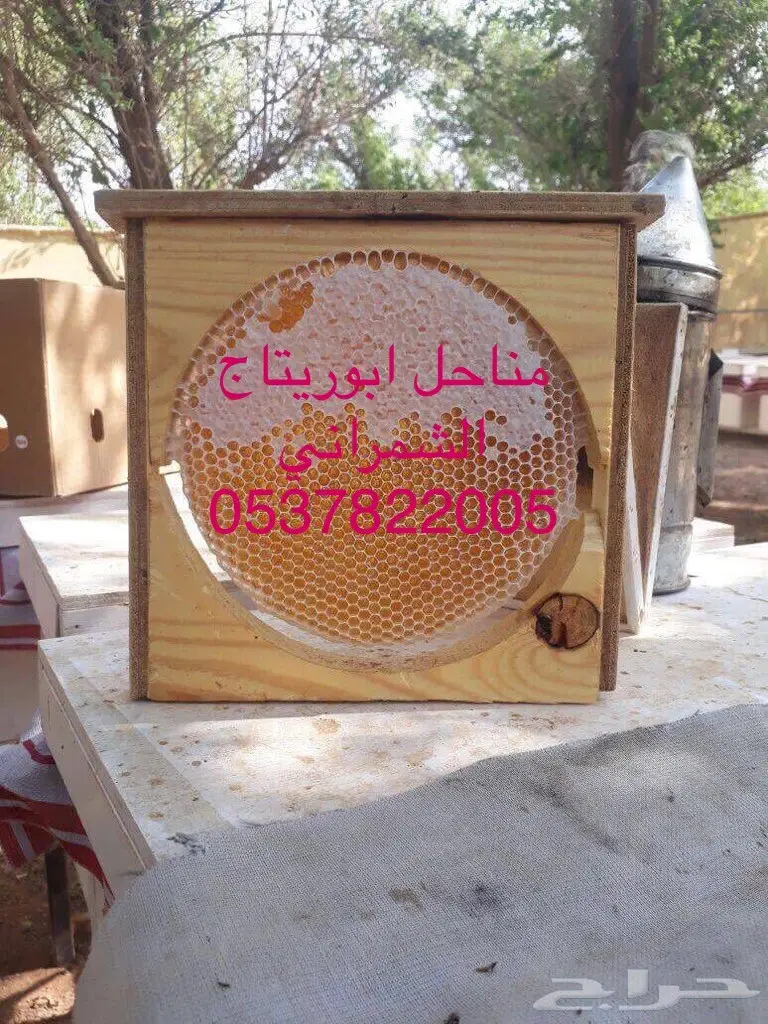 جمعتكم مباركة ادخل وجرب وقييم  (image 13)