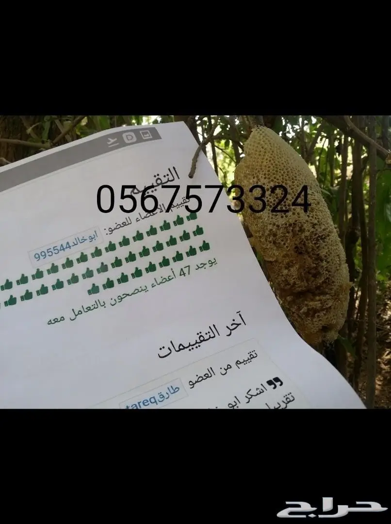عسل حر جبلي أراء العملاء ولله الحمد إيجابية (image 11)
