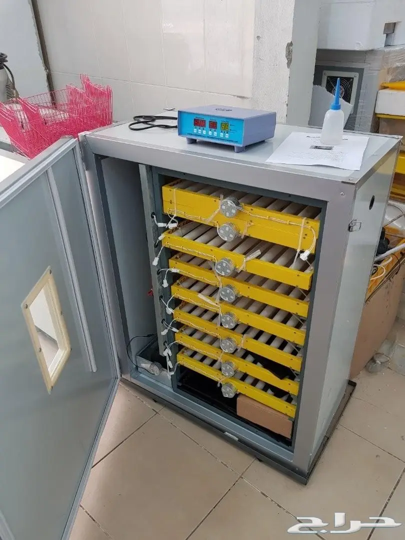 مشروع دواجن وطيور- استراحه - فيومي - للتقبيل  (image 30)