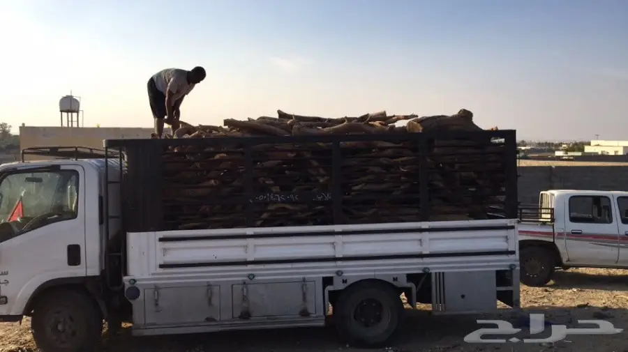 سمر حملة دينه سوبر جامبو للبيع ح ط ب