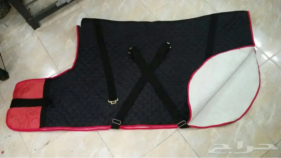 مستلزمات الخيل (image 4)