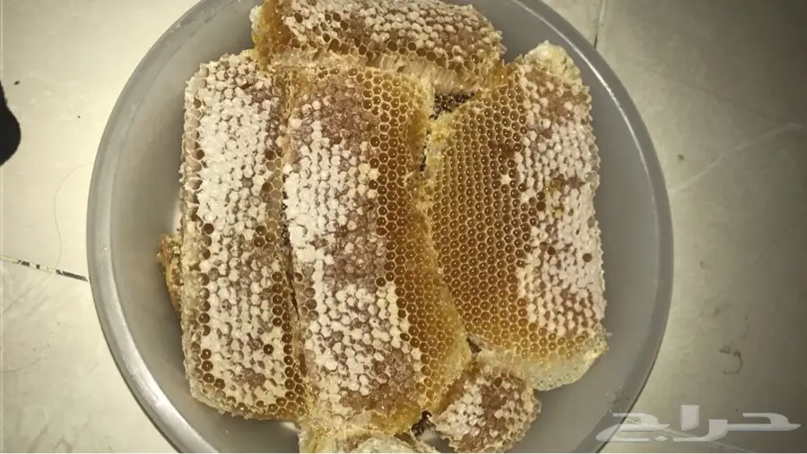 عسل سدر اصلي ومضمون (image 3)