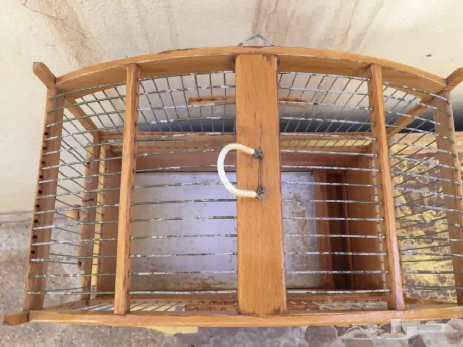 شبوك حساسين خشب استخدام خفيف .. (image 2)