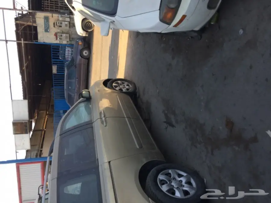 فان كيا كرنفال  (image 7)