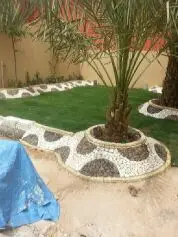 تنسيق حدائق وصيانة - تحويل حلمك إلى واقع! (image 8)