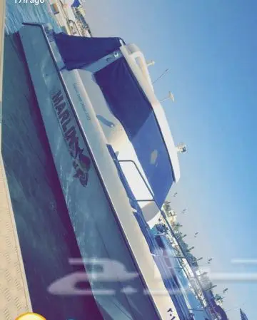 قارب - بوت - boat - دولفن - جلف كرافت - gulf (image 6)