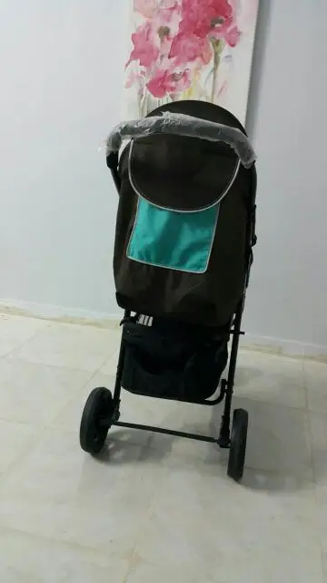 عربية اطفال مميزة ماركة hauck (image 5)