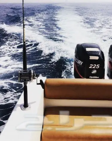 قارب - بوت - boat - دولفن - جلف كرافت - gulf (image 1)