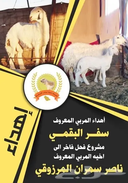 تصميم إعلانات احترافي عن بعد - جودة عالية وسعر مميز! (image 82)