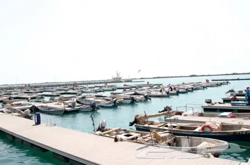 فرصة ذهبية قارب صيد في ثووول  (image 5)