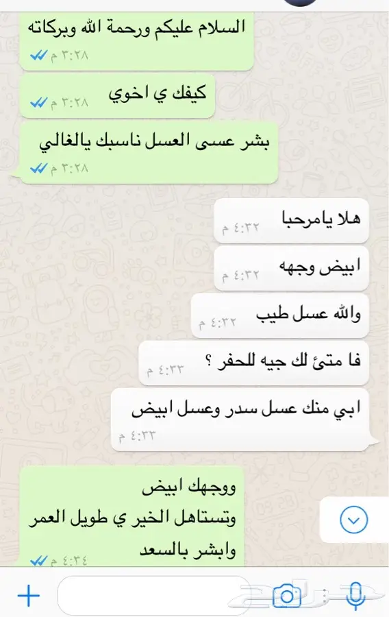 عسل مضمون ذمه ومختبر وغذاء ملكات بلدي (image 6)