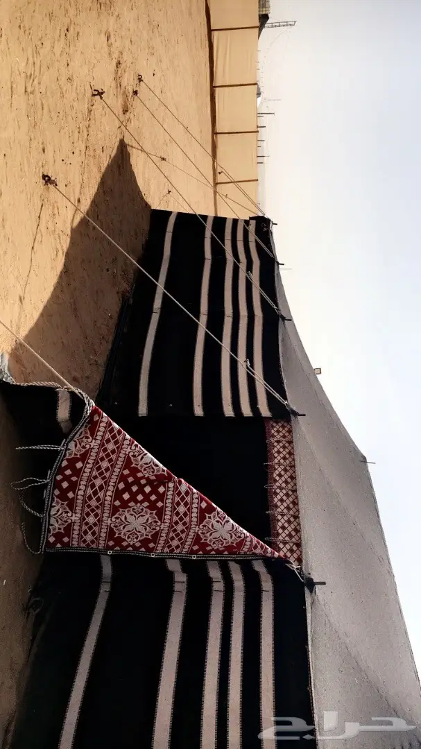 مخيم (image 3)