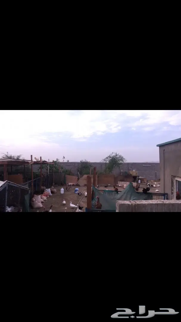 حوش للبيع  (image 1)