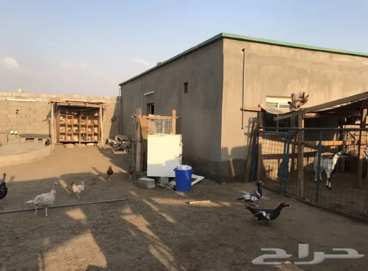 حوش للبيع  (image 3)