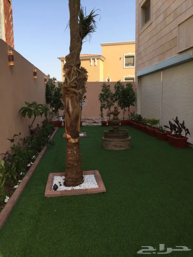 عشب صناعي أسعار منافسة  (image 5)