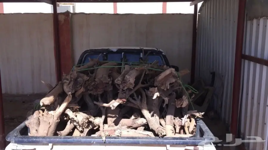 حطب سمر للبيع حطب الحره