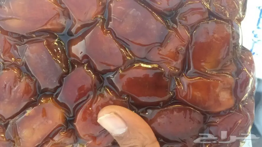 خلاص القصيم الشيوخ VIP - فرصة ذهبية! (image 6)