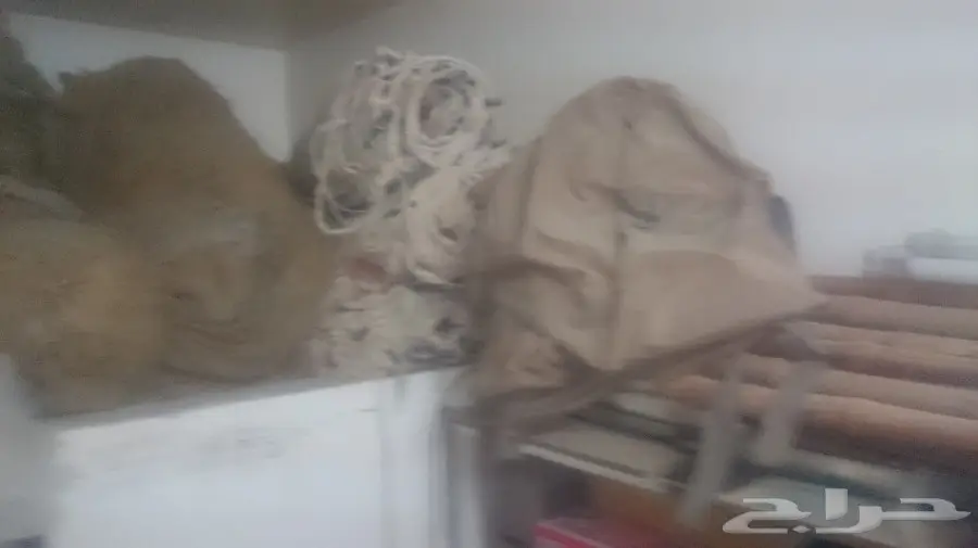 للبيع خيام التميمى