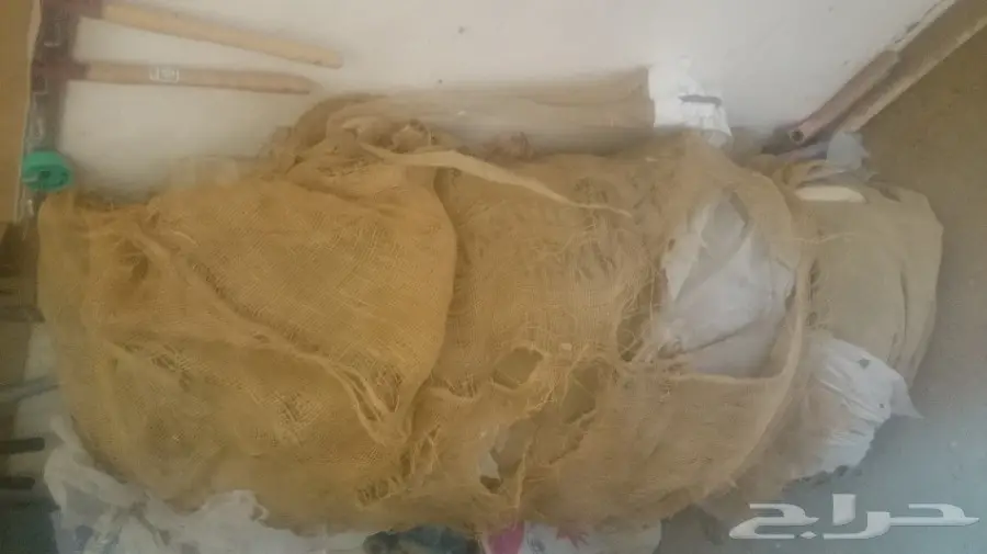 للبيع خيام التميمى (image 2)