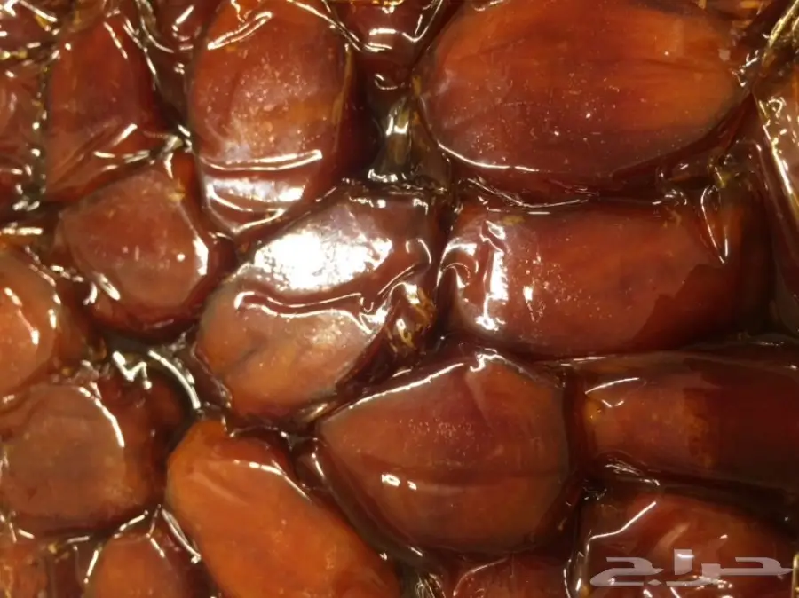 خلاص القصيم الشيوخ VIP - فرصة ذهبية! (image 1)