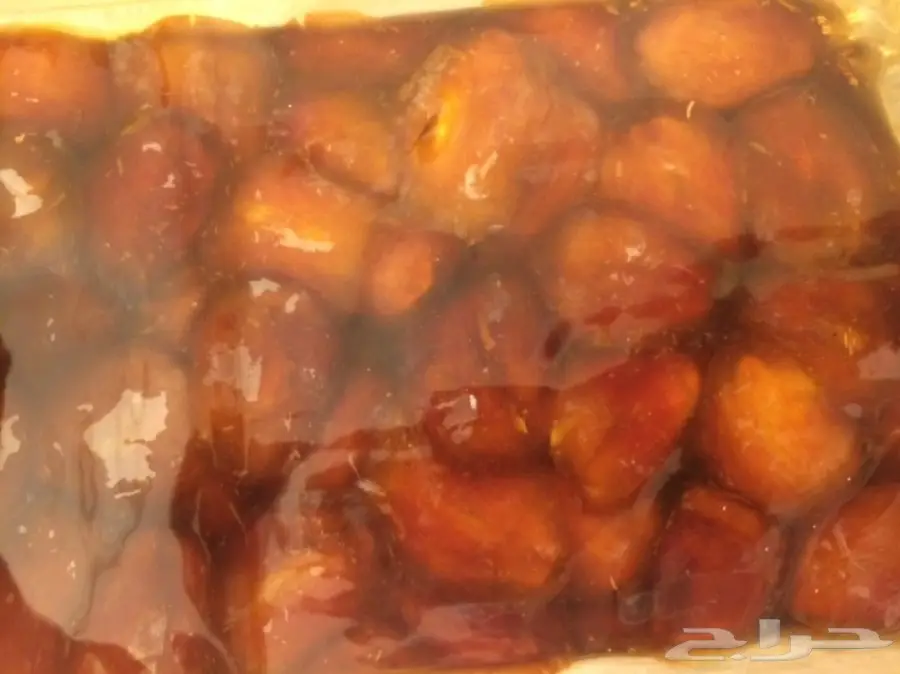 خلاص القصيم الشيوخ VIP - فرصة ذهبية! (image 4)