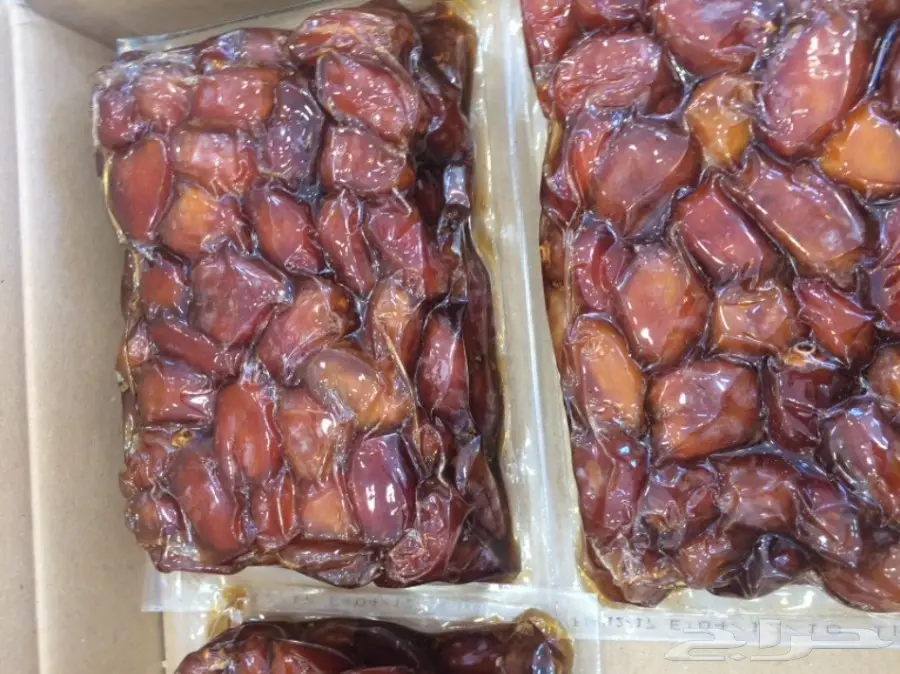 خلاص اشيقر الشيوخ رقم1